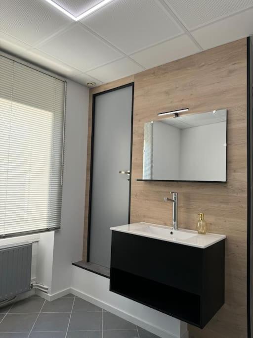 Appartement La Citadelle Belfort Εξωτερικό φωτογραφία
