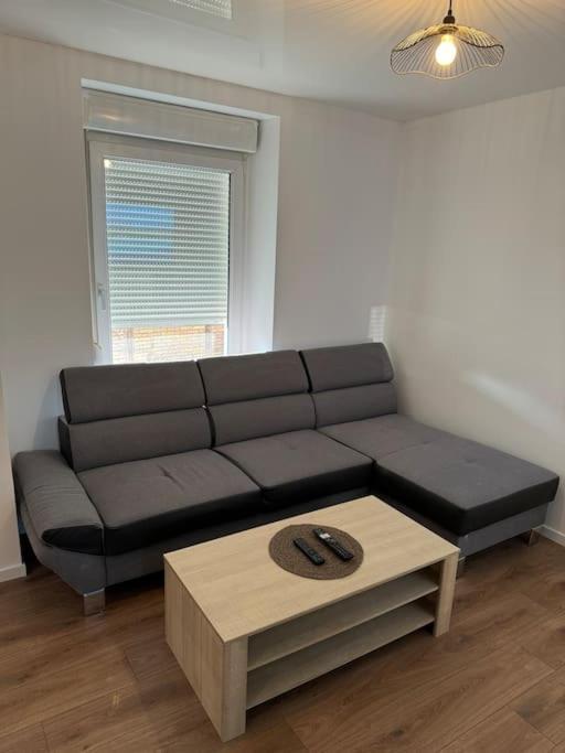 Appartement La Citadelle Belfort Εξωτερικό φωτογραφία